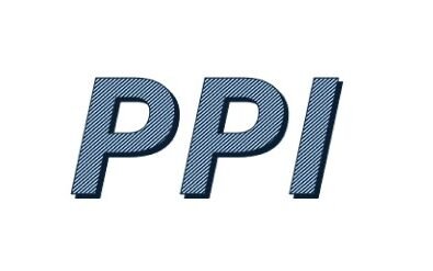 Panoramic Project Inc.